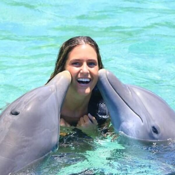 Jamaica dolphin tour