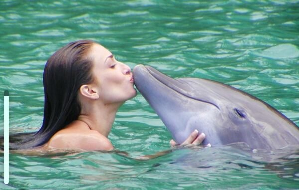 Jamaica dolphin tours