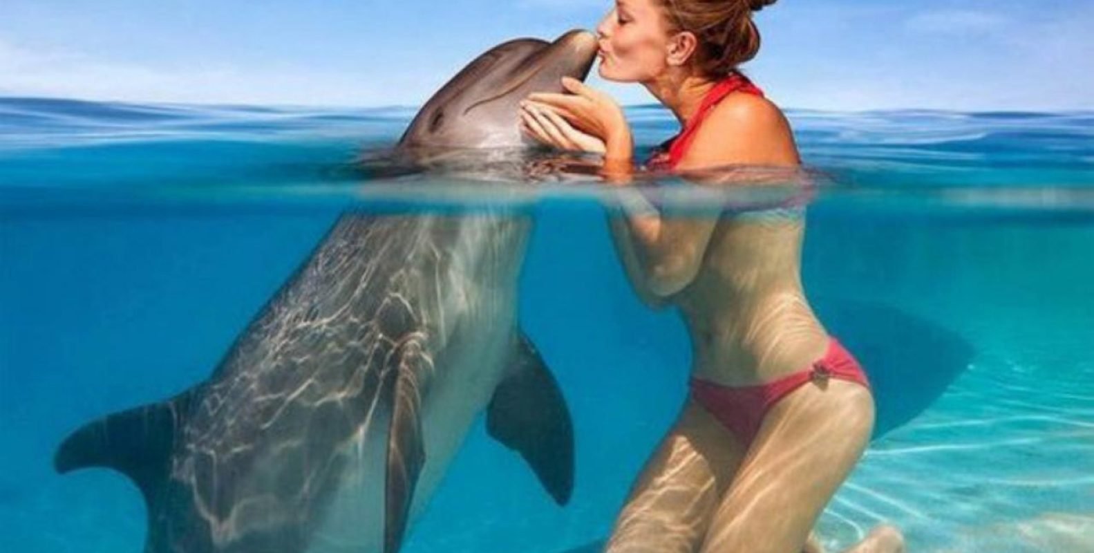 Jamaica dolphin-tour